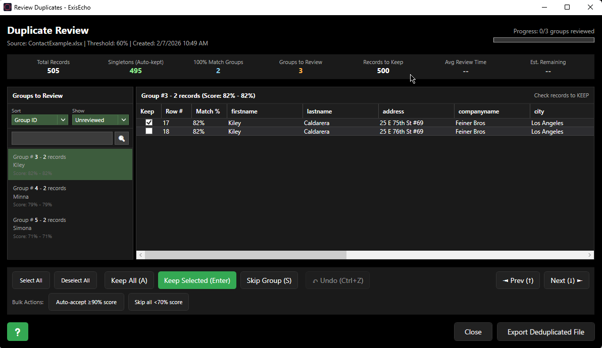 ExisEcho Duplicate Review Screen showing groups panel, records grid, statistics, and action buttons